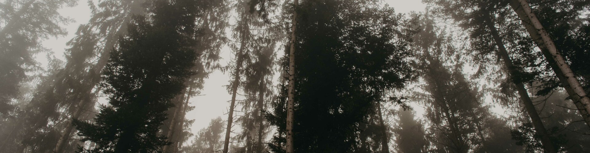 mastermind-voor-creatieve-ondernemers