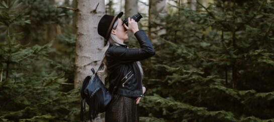 Online-Fotografie-Cursus