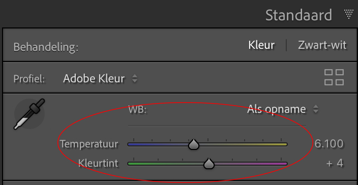 witbalans-aanpassen-lightroom-kleurtemperatuur