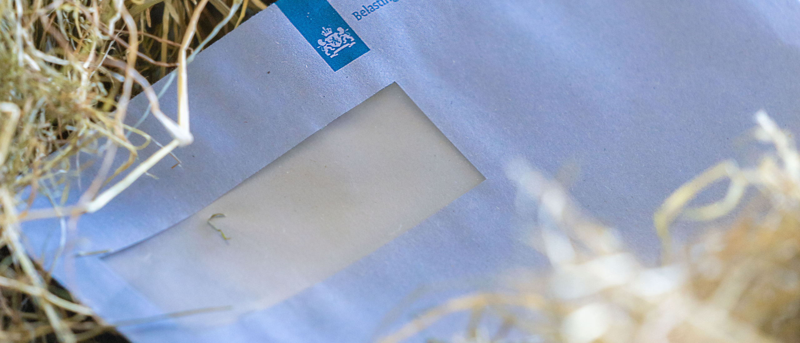 Wat moet je met je boekhouding doen?