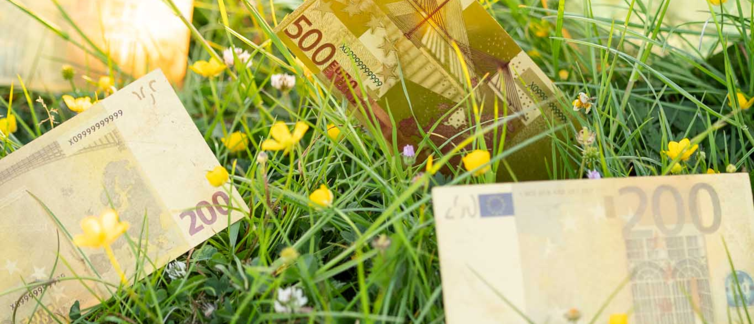 Waarom kennis verkopen zo lastig is