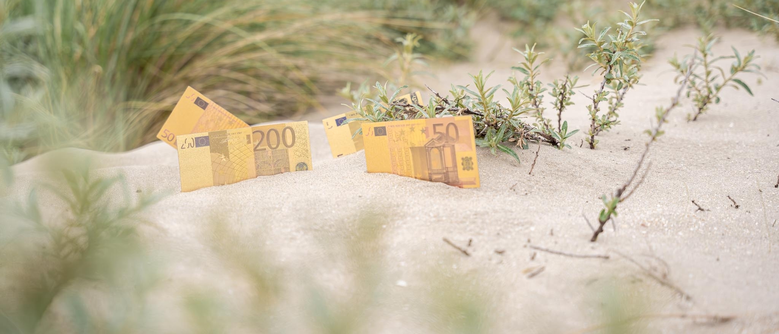 Een vakantie is toch ook een investering