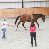 Workshop Longeren: Dubbele Longe