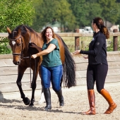 Workshop Werken aan de Hand