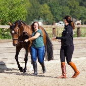 Workshop Werken aan de Hand