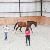 Lessen longeren en werken aan de handongeren enkele longe