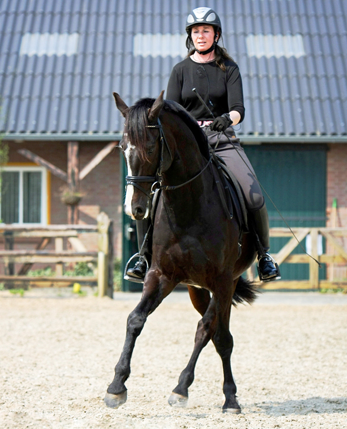 Masterclass Zijgangen Masterclass Zijgangen