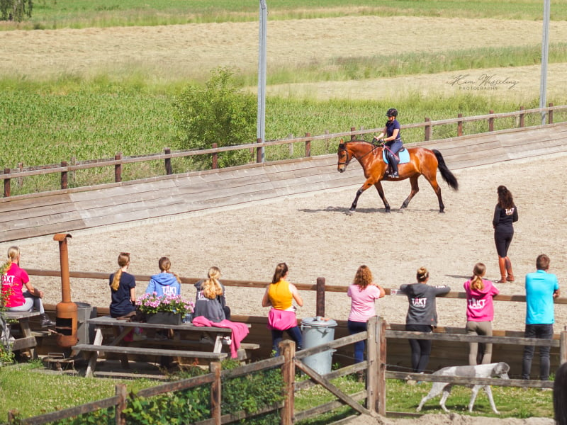 Paardrijden in buitenrijbaan bij TAKT Academy