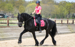 Leergang – Onder het zadel