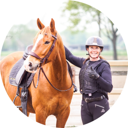 Online Community: trainen van paarden