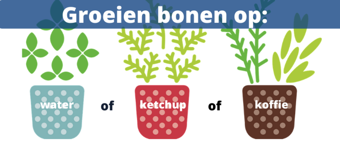 Groeien bonen op water, ketchup of koffie?