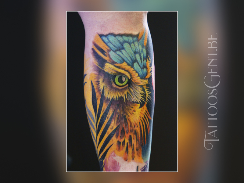 Tattoos Gent kleurentattoo uil