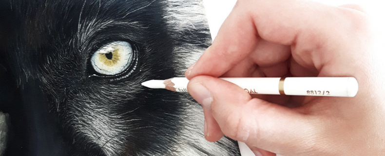 Dieren tekenen met pastelkrijt: Mijn 11 geheimen