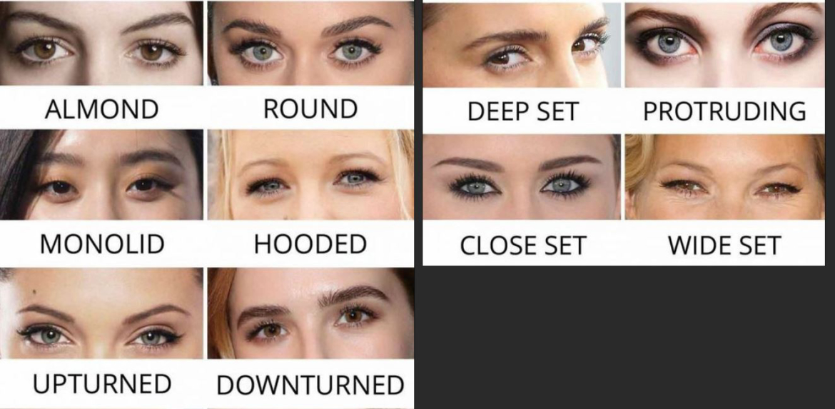 Verschillende soorten ogen