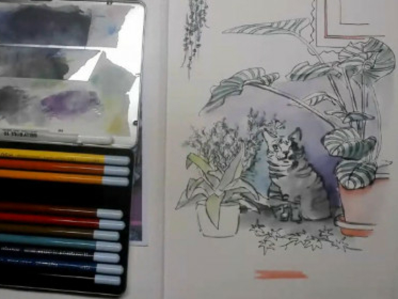 Kat en kamerplant tekenen met Lineke Lijn