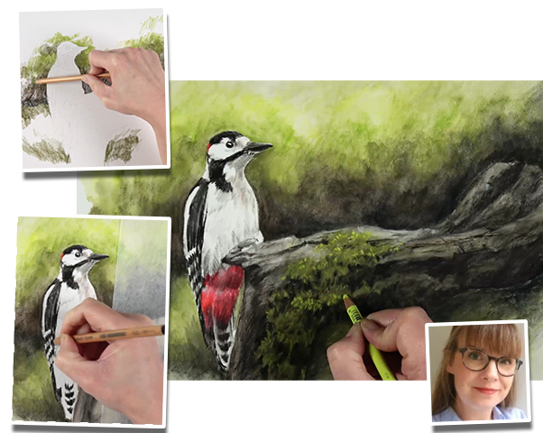 linty-de-bruijn-specht-tekenen