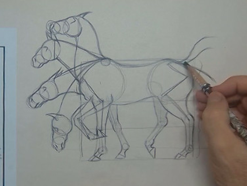 Paard Tekenen met Lineke Lijn
