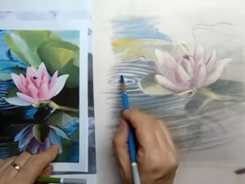 waterlelie tekenen met Lineke Lijn