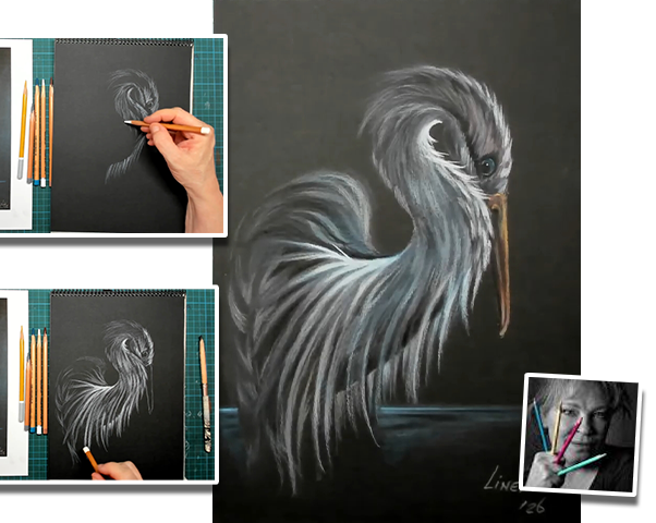 zilverreiger tekenen met Lineke Lijn