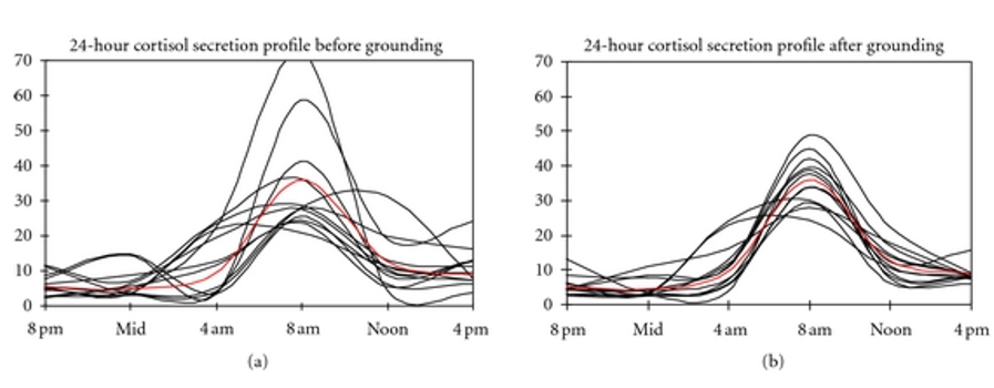 Aarden vs cortisol