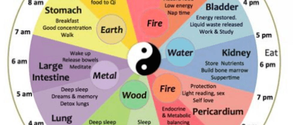 Perifere klokken (orgaanklokken): waarom een verstoring hiervan kan leiden tot 's nachts wakker worden