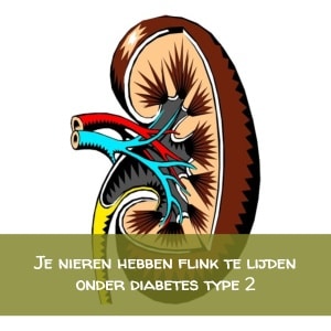 Diabetes Type 2 Nierproblemen