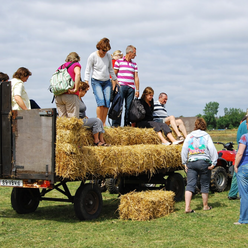 Groepsactiviteit op Texel met boerenkar tour groep deelnemers op een boerenkar tijdens een groepsactiviteit op Texel