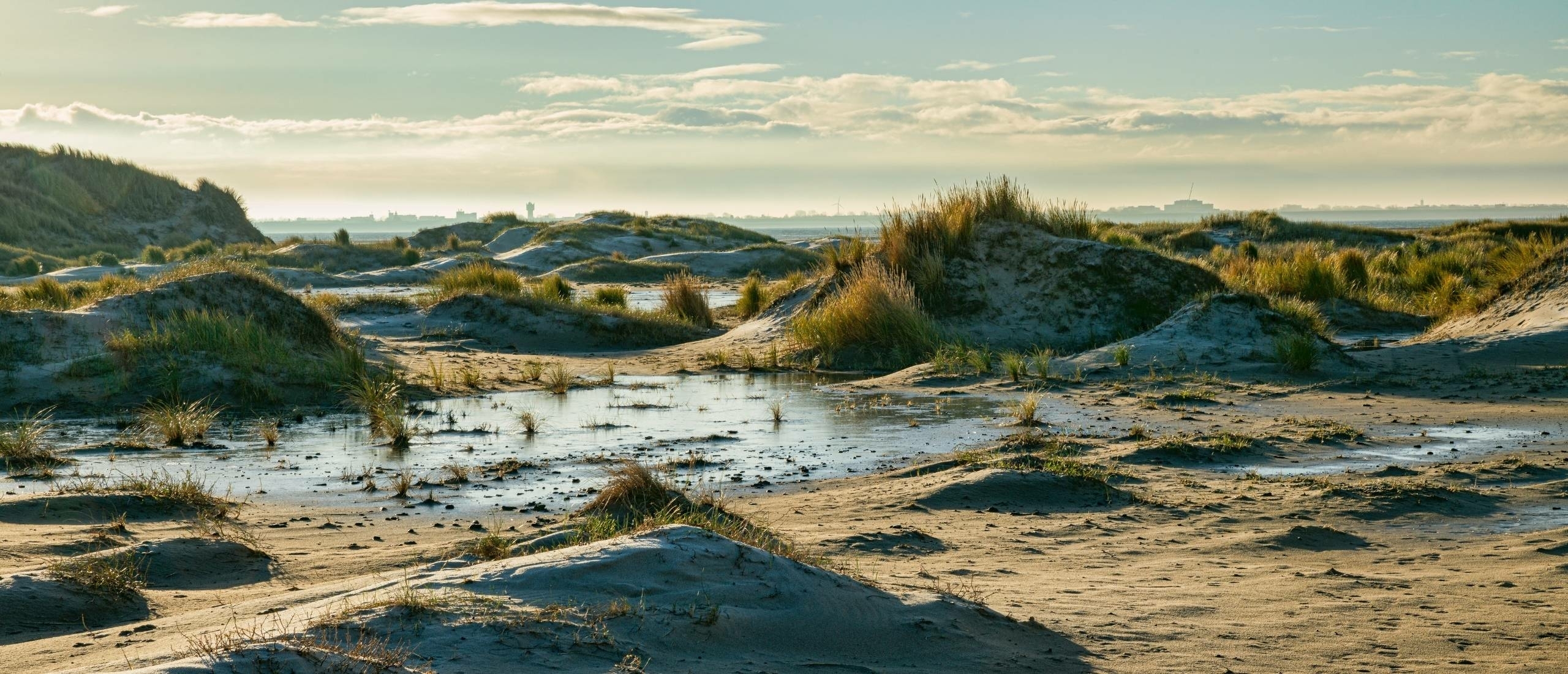 Natuurgebied De Hors op Texel