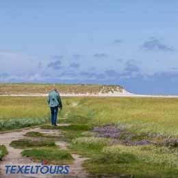 Wandelpad door natuurgebied De Slufter op Texel met duinen en open landschap