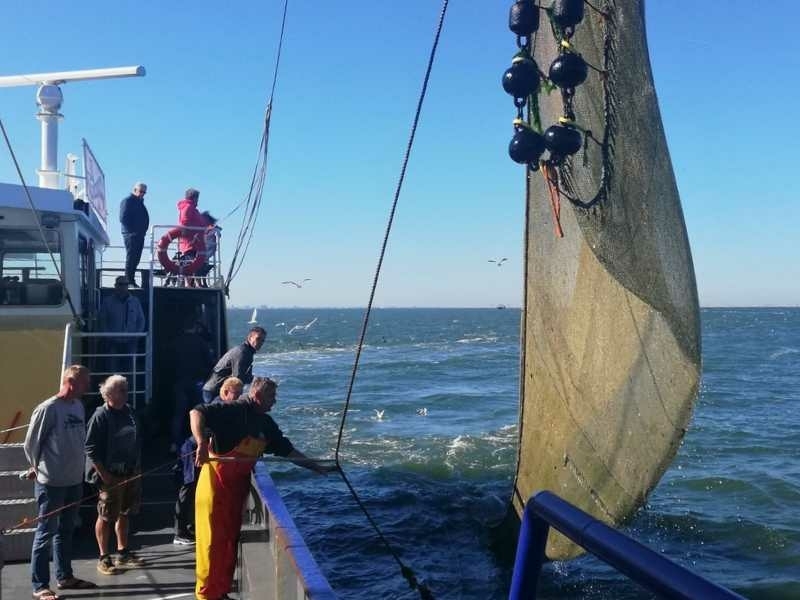 Bezoekers aan boord van een garnalenkotter tijdens het binnenhalen van het net op de Waddenzee bij Texel