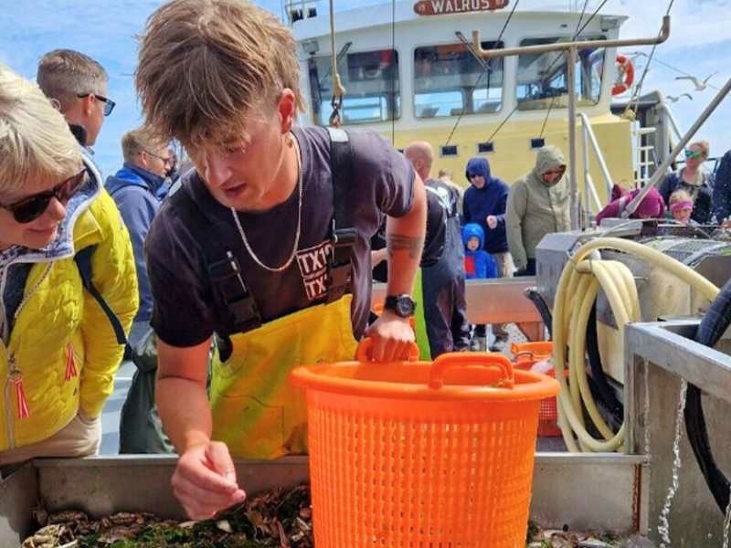 Uitje op Texel met garnalenvissen en zeehonden kijken op de TX20