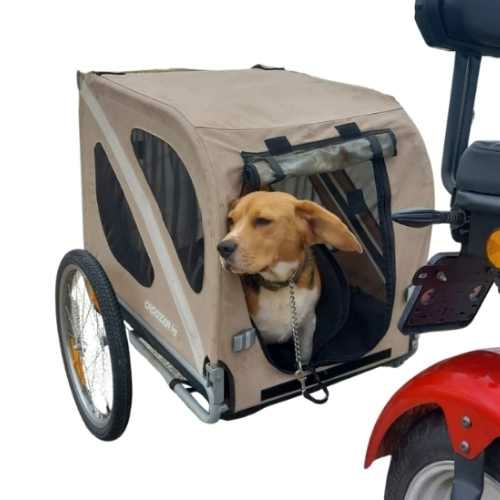 hondenkar huren Texel – samen genieten tijdens fietstochten