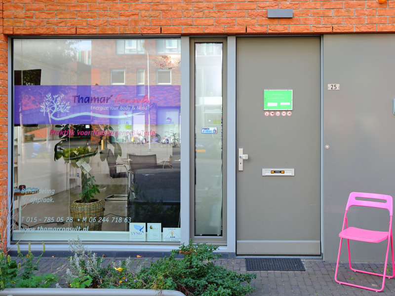 Holistische Vitaliteitsscan: Kinesiologie, Orthomoleculaire therapie, Stemanalyse
