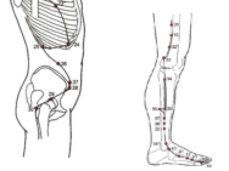 galblaasmeridiaan