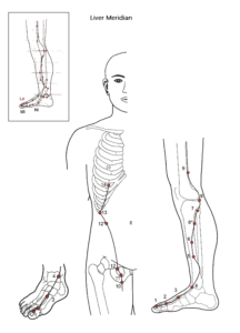 lever meridiaan test