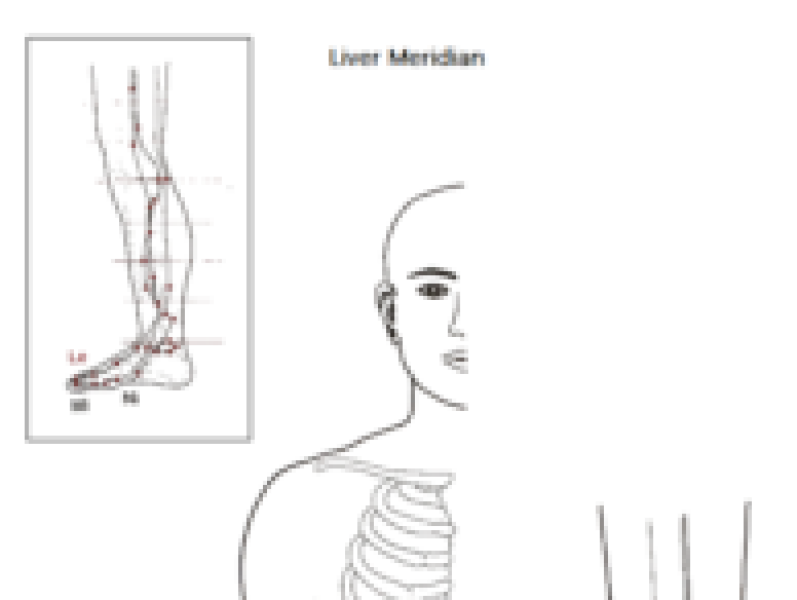 lever meridiaan test