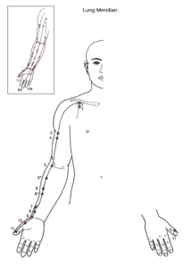 long meridiaan test