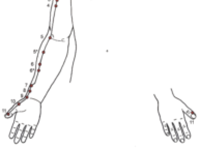 long meridiaan test