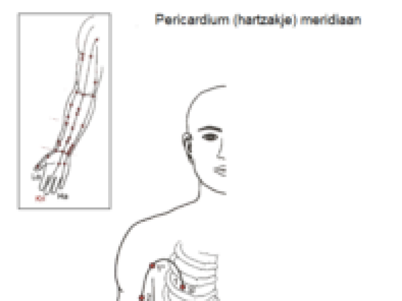 Kringloop meridiaan, pericardium test