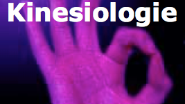 kinesiologie kinesiologie