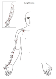 long meridiaan long meridiaan