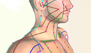 meridianen testen Meridianen testen