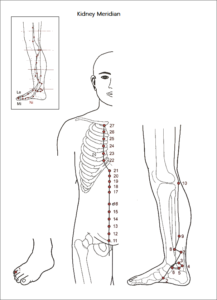 nier meridiaan niermeridiaan
