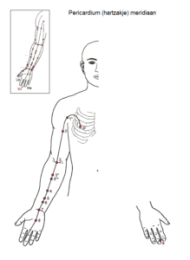 Kringloop meridiaan, pericardium Kringloop meridiaan, pericardium test