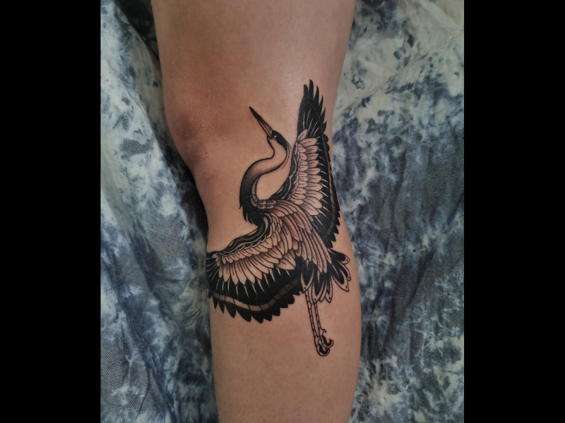 kraanvogel tattoo