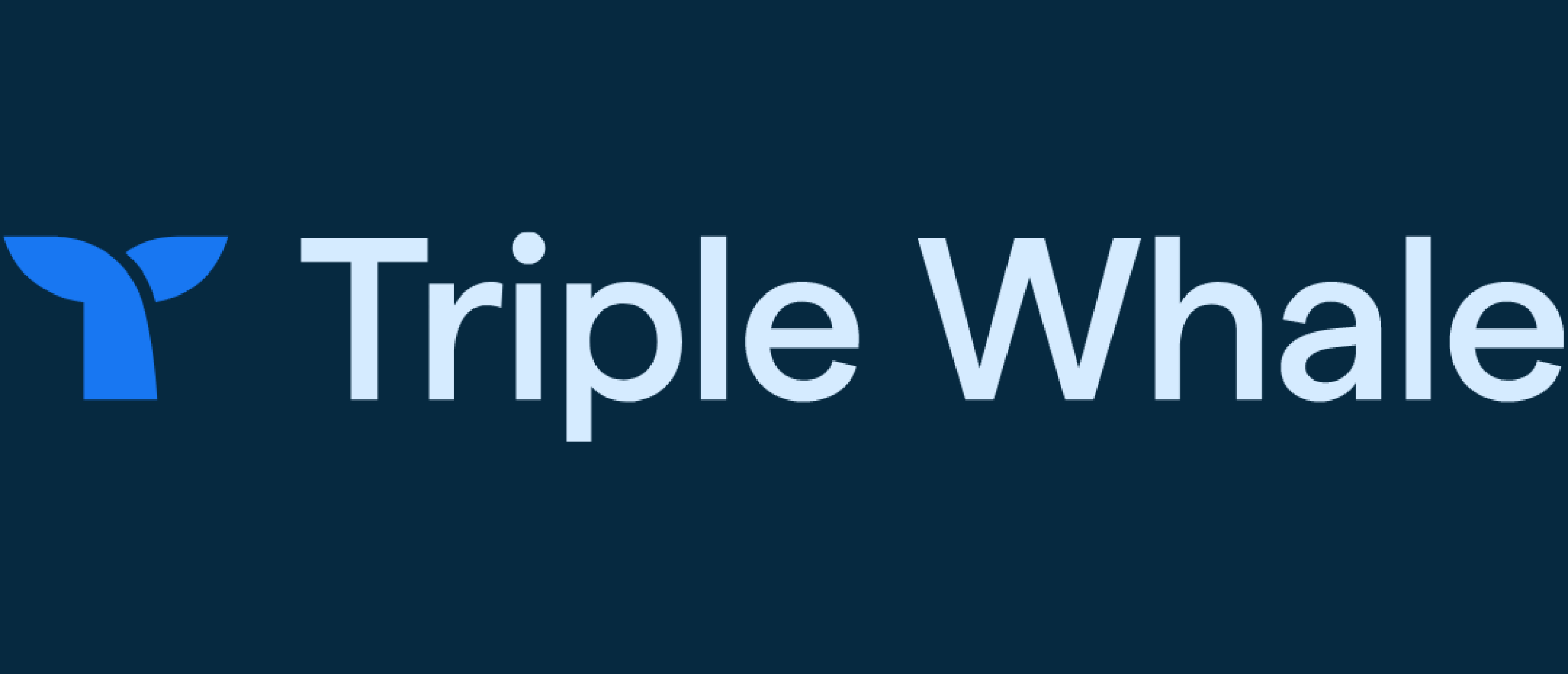 Triple Whale is dé oplossing voor problemen met Facebook of TikTok pixel tracking.