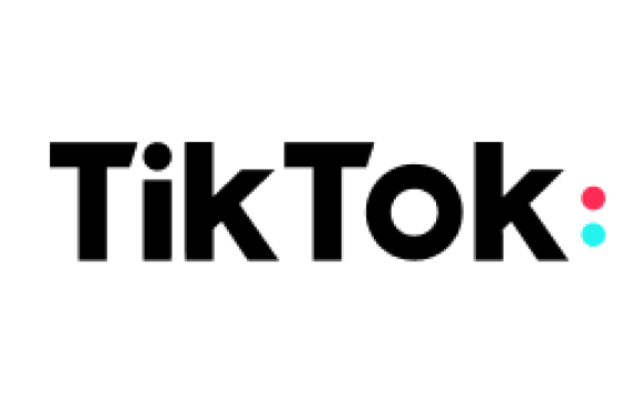 TikTok marketing partner