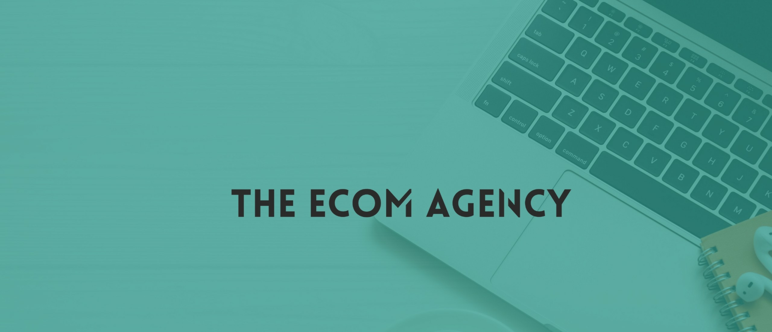 The Ecom Agency