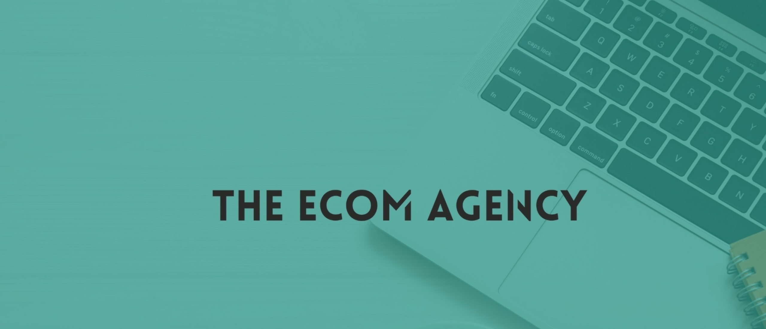 The Ecom Agency