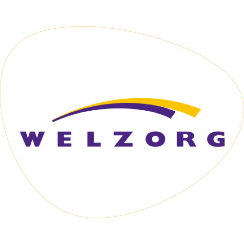 logo welzorg partners the good agency